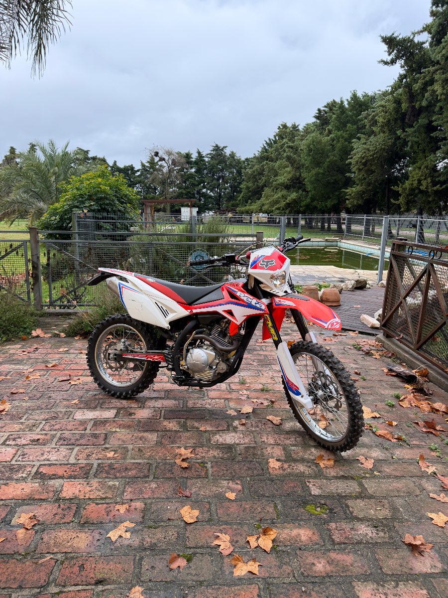 BETA 150 - 2023 - 2000km